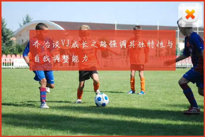 乔治谈VJ成长之路强调其独特性与自我调整能力