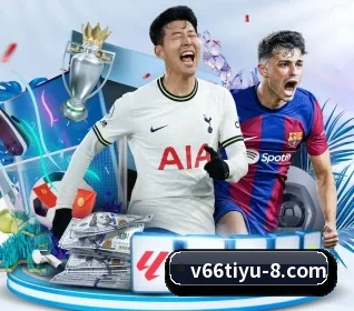 V66体育 APP
